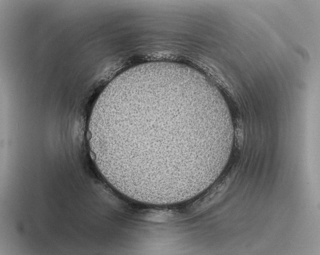 X0000116560458201001071138
