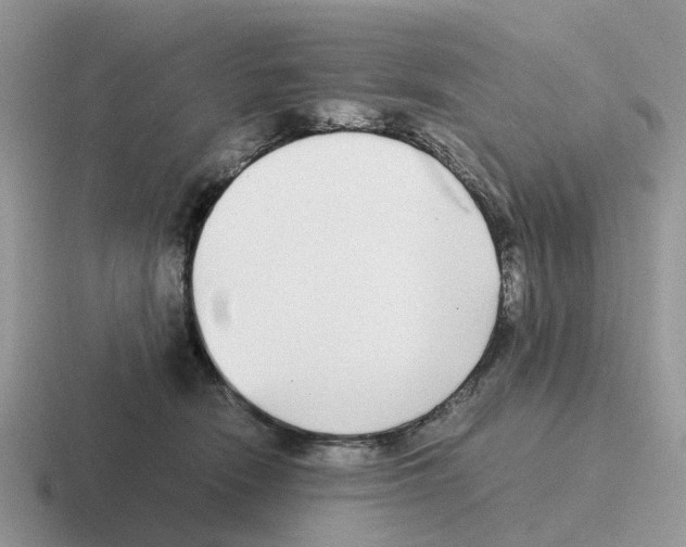 X0000116560466201001071138