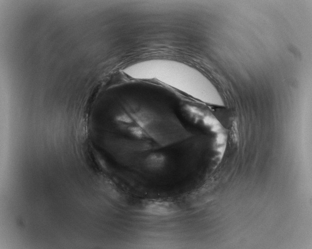 X0000116560471201001071139