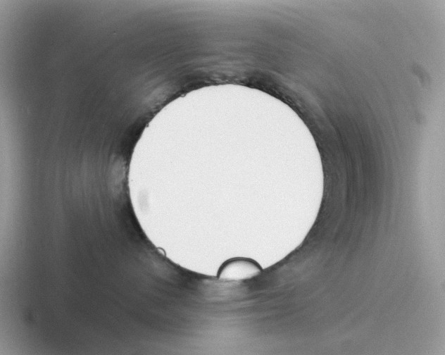 X0000116560480201001071139