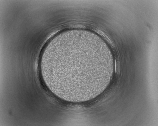 X0000116560483201001071138