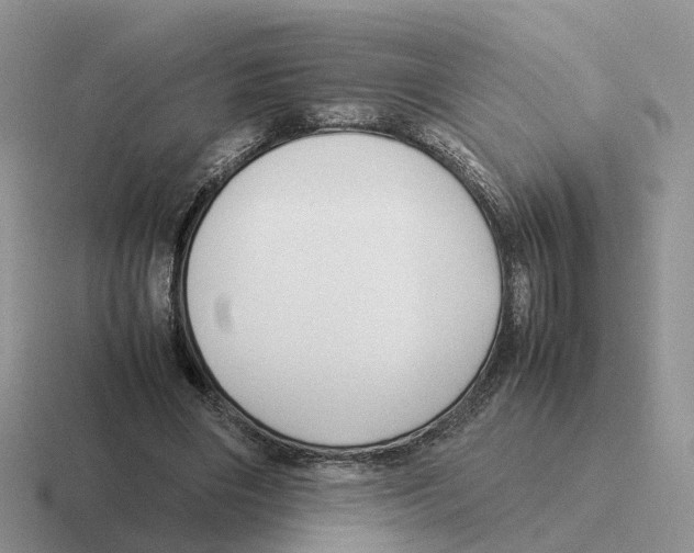 X0000116560490201001071138