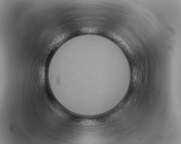 X0000116560494201001071138