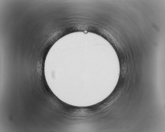 X0000116560497201001071138