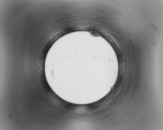 X0000116560505201001071138