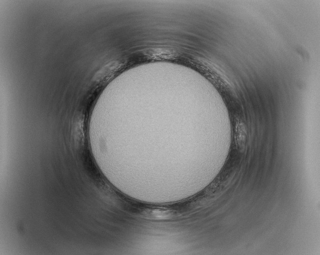 X0000116560506201001071138