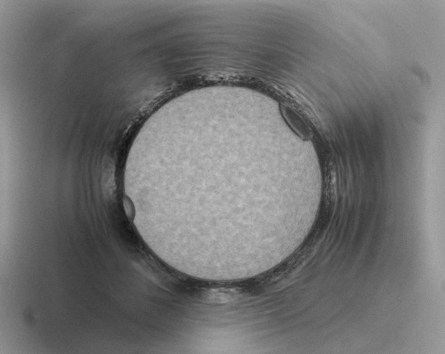 X0000116560508201001071138