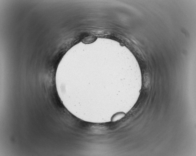 X0000116560515201001071138