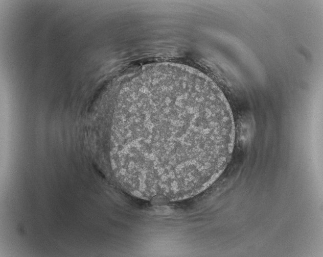 X0000116560519201001071138
