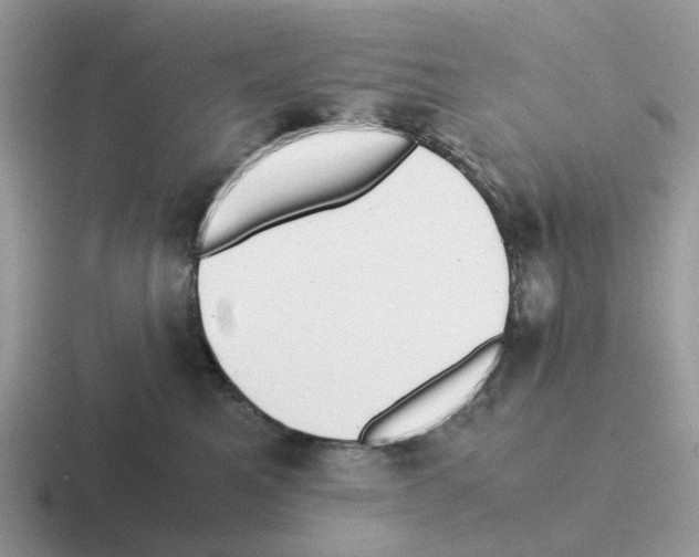 X0000116560521201001071138