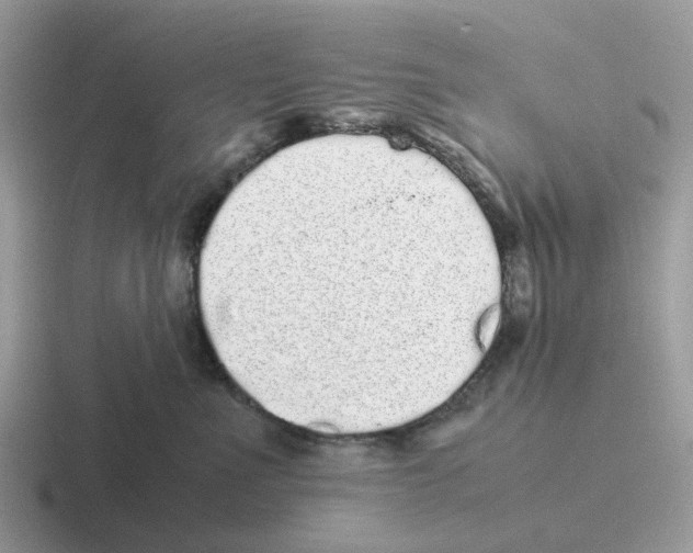 X0000116560523201001071138