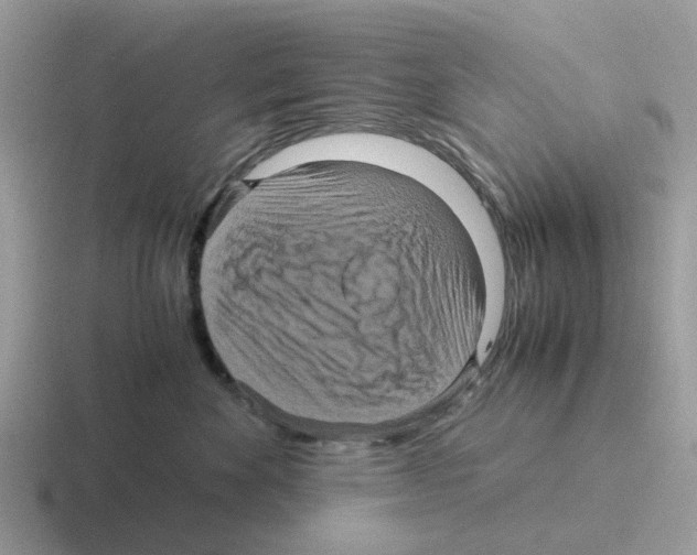 X0000116560524201001071138