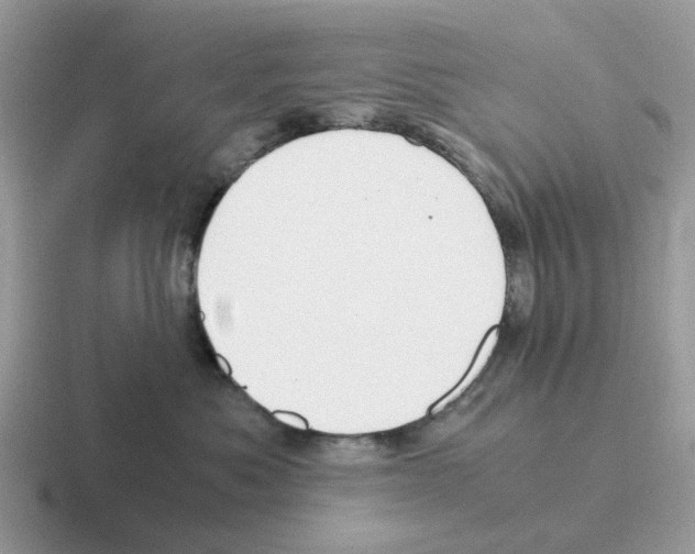 X0000116560525201001071138