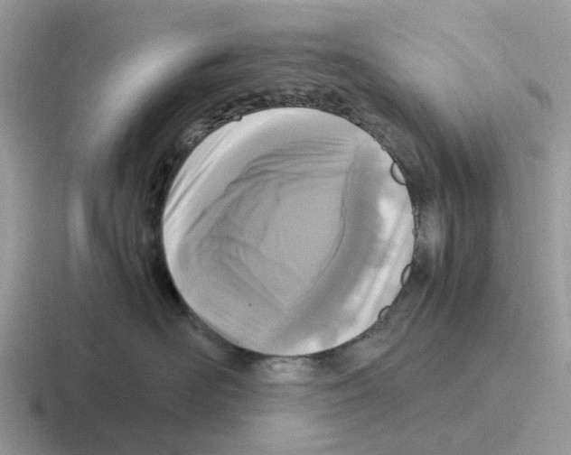 X0000116560526201001071137