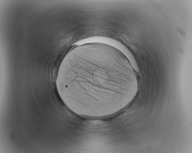 X0000116560528201001071137