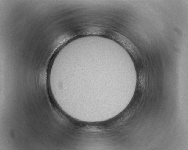 X0000116560534201001071137