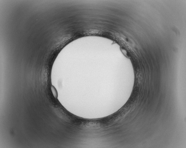 X0000116560546201001071137