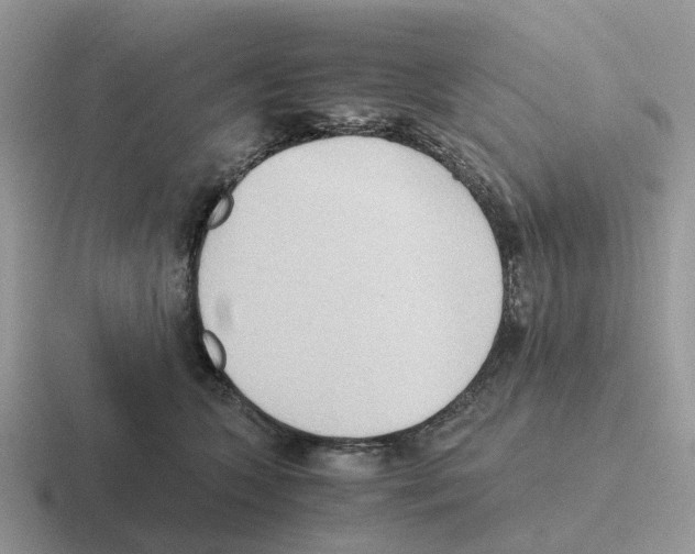 X0000116560563201001071137