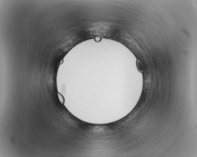 X0000116560566201001071137