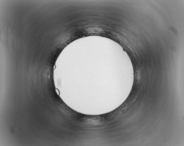 X0000116560567201001071137