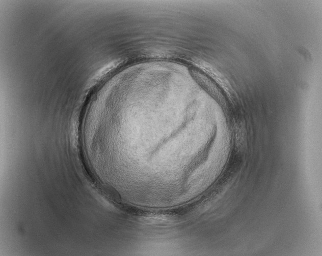 X0000116560581201001071137
