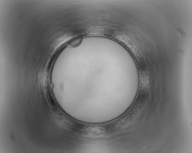 X0000116560583201001071137