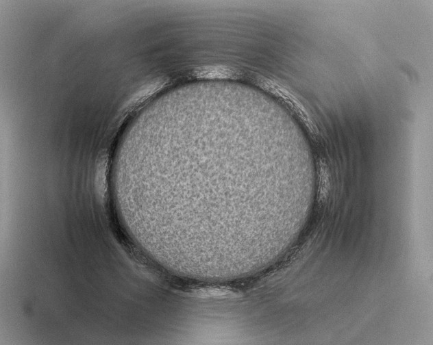 X0000116560586201001071137