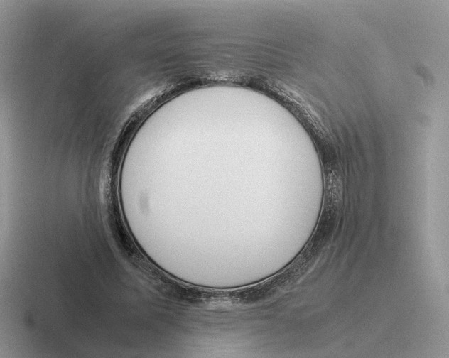 X0000116560587201001071137