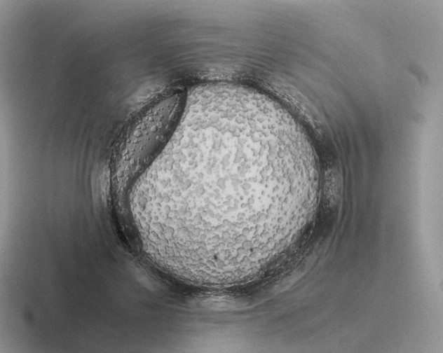 X0000116560589201001071137
