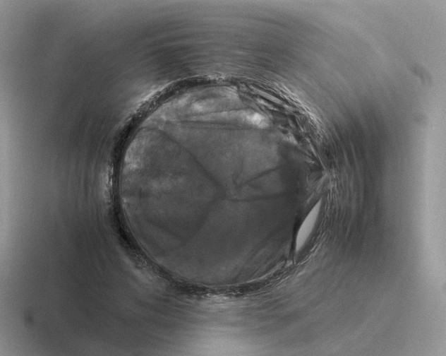 X0000116560592201001071137