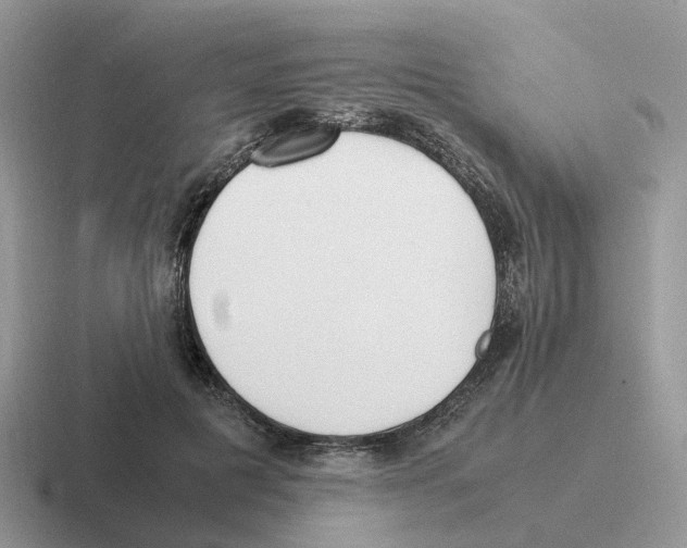 X0000116560601201001071137