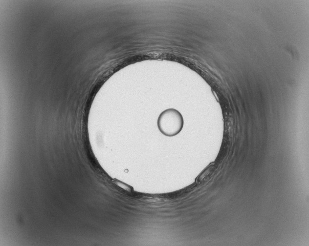 X0000116560611201001071136