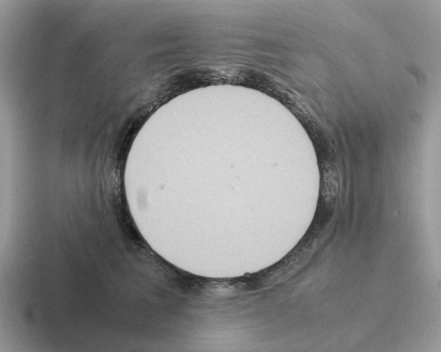 X0000116560613201001071136