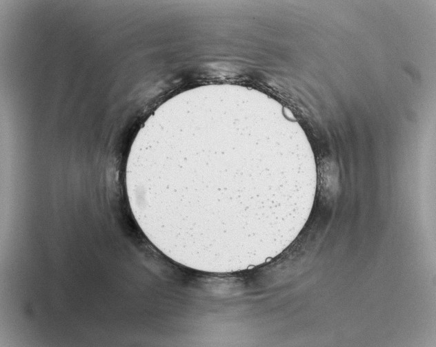 X0000116560615201001071136