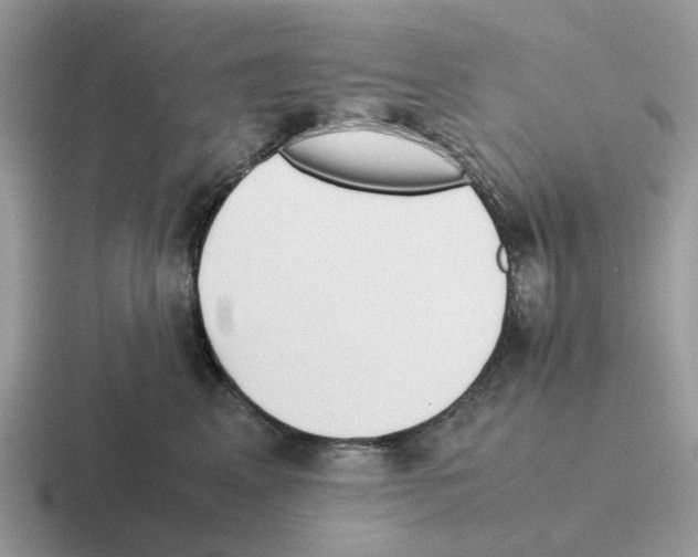 X0000116560617201001071136