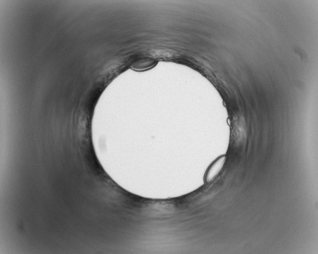 X0000116560619201001071136