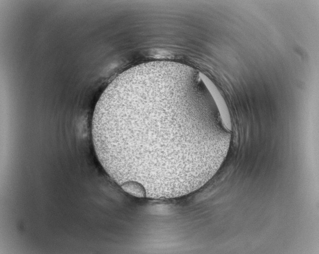 X0000116560620201001071136