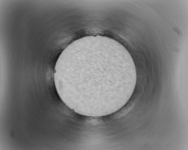 X0000116560624201001071136