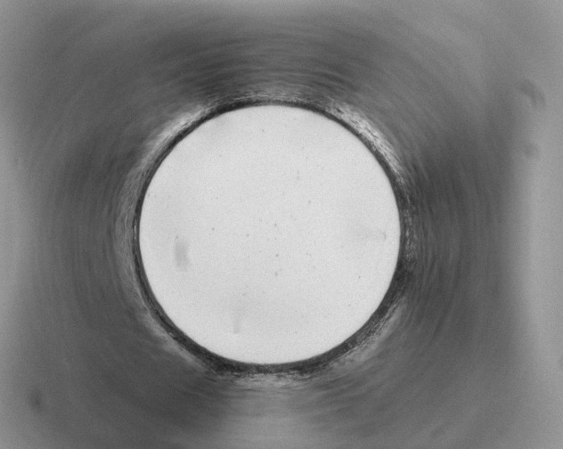 X0000116560625201001071136