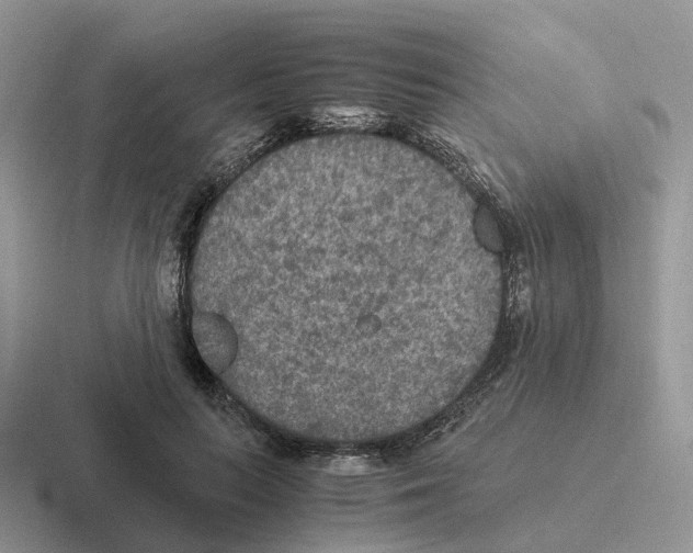 X0000116560647201001071136