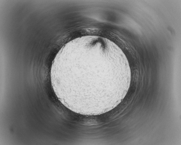 X0000116560651201001071136