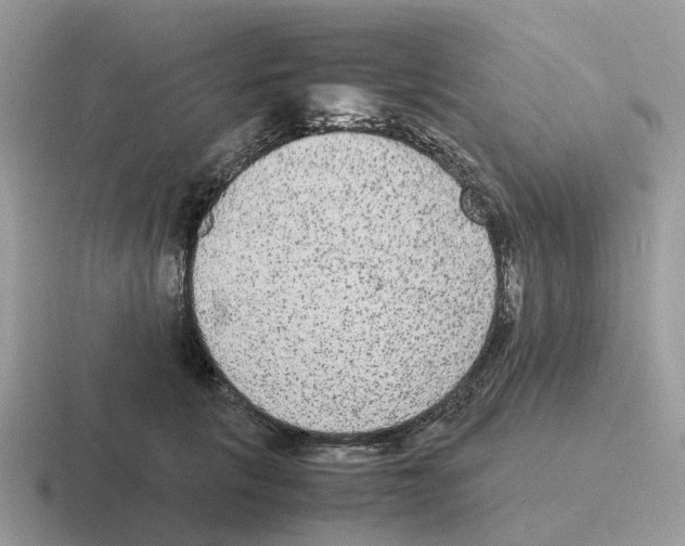 X0000116560657201001071136