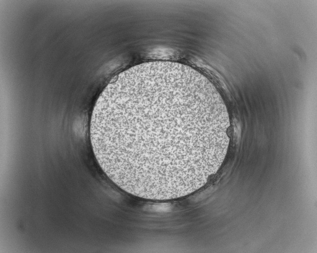 X0000116560665201001071136