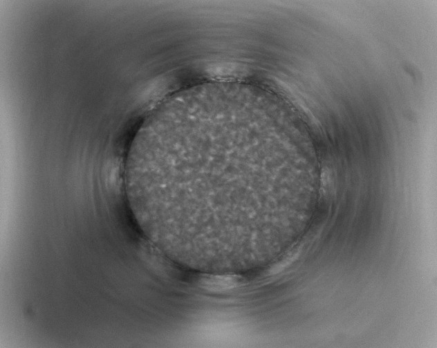 X0000116560671201001071136