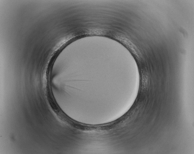 X0000116560674201001071136