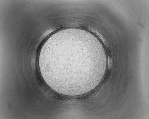 X0000116560675201001071136