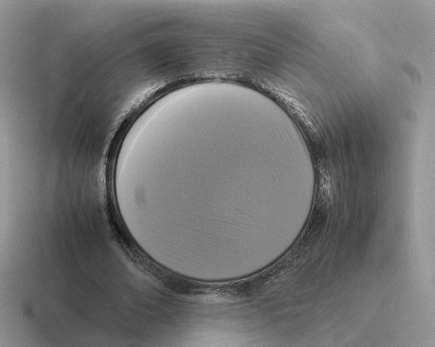 X0000116560678201001071136