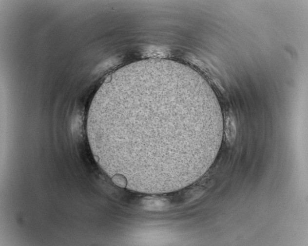 X0000116560714201001071135