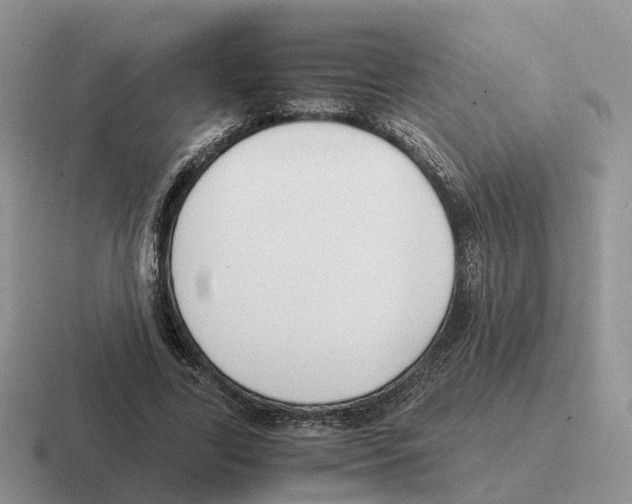 X0000116560731201001071135