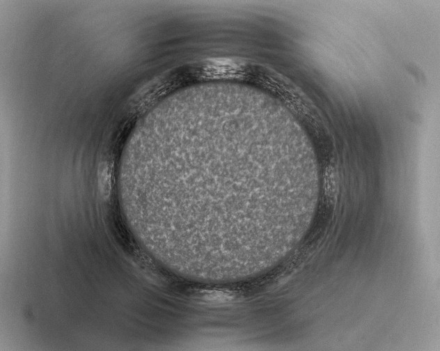 X0000116560741201001071135